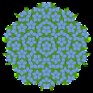 Meet your Posher, Nicolas